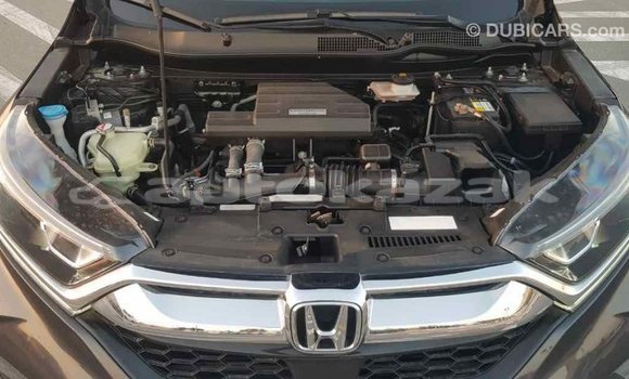 Buy Import Honda C Other Bike in Import - Dubai in Akmecet