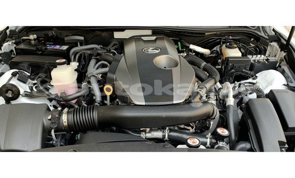 Buy Import Lexus IS White Car in Import - Dubai in Akmecet Buy Import Lexus IS White Car in Import - Dubai in Akmecet