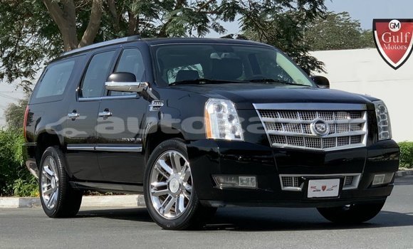 Buy Import Cadillac Escalade Black Car in Import - Dubai in Akmecet