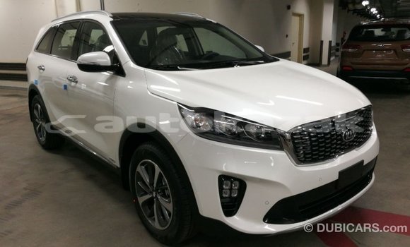 Buy Import Kia Sorento White Car in Import - Dubai in Akmecet Buy Import Kia Sorento White Car in Import - Dubai in Akmecet