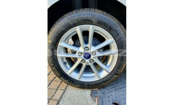 Buy Import Ford Focus White Car in Import - Dubai in Akmecet Buy Import Ford Focus White Car in Import - Dubai in Akmecet