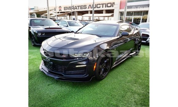 Buy Import Chevrolet Camaro Black Car in Import - Dubai in Akmecet Buy Import Chevrolet Camaro Black Car in Import - Dubai in Akmecet