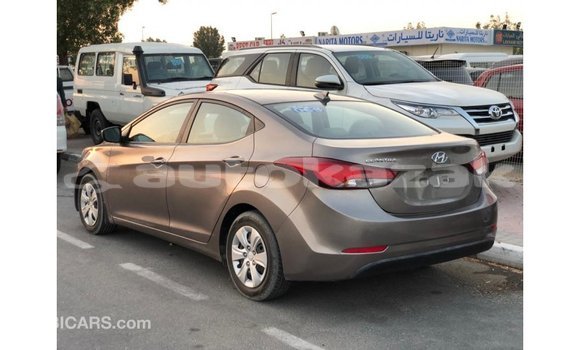 Buy Import Hyundai Elantra Brown Car in Import - Dubai in Akmecet Buy Import Hyundai Elantra Brown Car in Import - Dubai in Akmecet