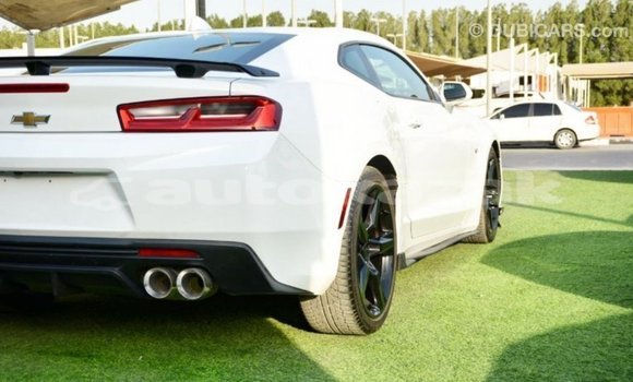 Buy Import Chevrolet Camaro White Car in Import - Dubai in Akmecet Buy Import Chevrolet Camaro White Car in Import - Dubai in Akmecet