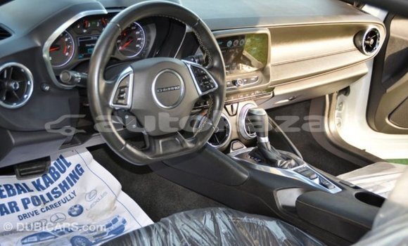 Buy Import Chevrolet Camaro White Car in Import - Dubai in Akmecet Buy Import Chevrolet Camaro White Car in Import - Dubai in Akmecet
