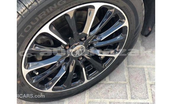 Buy Import Hyundai Elantra Black Car in Import - Dubai in Akmecet