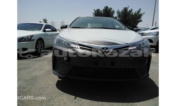Buy Import Toyota Corolla Other Car in Import - Dubai in Akmecet Buy Import Toyota Corolla Other Car in Import - Dubai in Akmecet