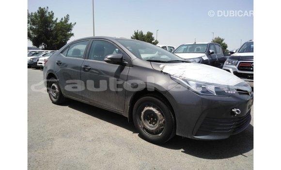 Buy Import Toyota Corolla Other Car in Import - Dubai in Akmecet Buy Import Toyota Corolla Other Car in Import - Dubai in Akmecet