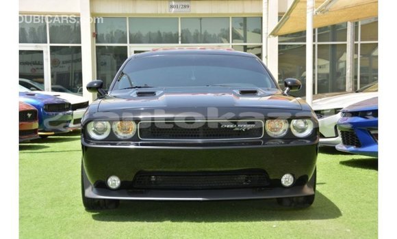 Buy Import Dodge Challenger Black Car in Import - Dubai in Akmecet Buy Import Dodge Challenger Black Car in Import - Dubai in Akmecet