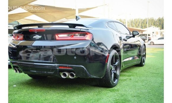 Buy Import Chevrolet Camaro Black Car in Import - Dubai in Akmecet Buy Import Chevrolet Camaro Black Car in Import - Dubai in Akmecet