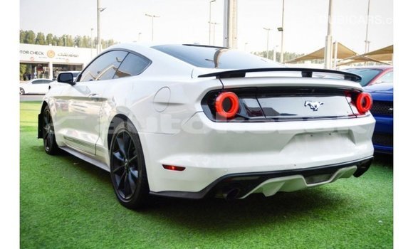 Buy Import Ford Mustang White Car in Import - Dubai in Akmecet Buy Import Ford Mustang White Car in Import - Dubai in Akmecet