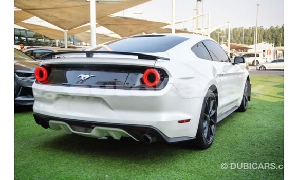 Buy Import Ford Mustang White Car in Import - Dubai in Akmecet Buy Import Ford Mustang White Car in Import - Dubai in Akmecet