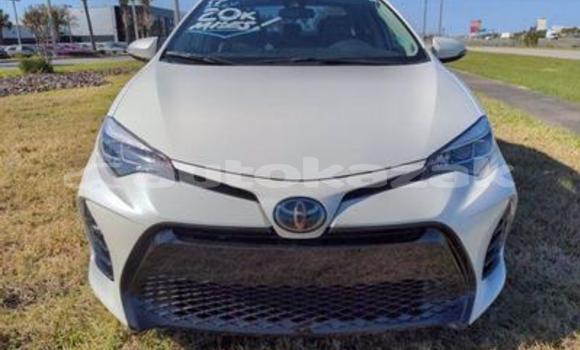 Buy Used Toyota Corolla White Car in Abay in Karagandi Buy Used Toyota Corolla White Car in Abay in Karagandi