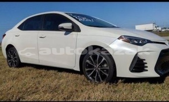 Buy Used Toyota Corolla White Car in Abay in Karagandi Buy Used Toyota Corolla White Car in Abay in Karagandi