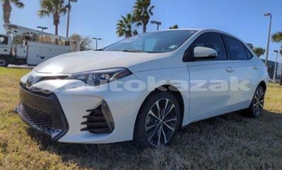 Buy Used Toyota Corolla White Car in Abay in Karagandi Buy Used Toyota Corolla White Car in Abay in Karagandi