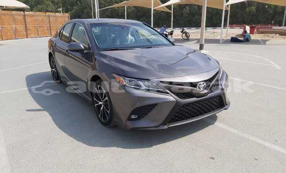 Buy Used Toyota Camry Other Car in Abay in Karagandi Buy Used Toyota Camry Other Car in Abay in Karagandi