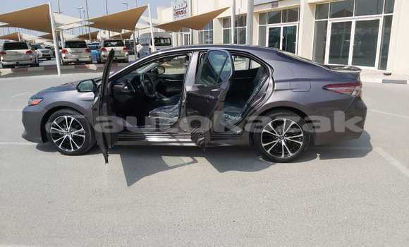 Buy Used Toyota Camry Other Car in Abay in Karagandi Buy Used Toyota Camry Other Car in Abay in Karagandi