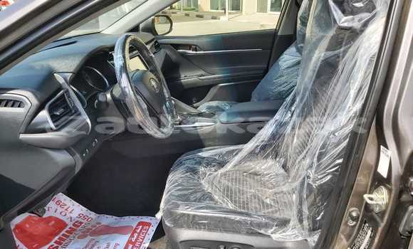 Buy Used Toyota Camry Other Car in Abay in Karagandi Buy Used Toyota Camry Other Car in Abay in Karagandi