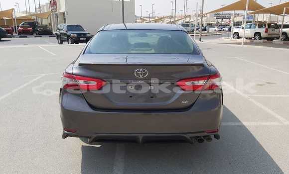 Buy Used Toyota Camry Other Car in Abay in Karagandi Buy Used Toyota Camry Other Car in Abay in Karagandi