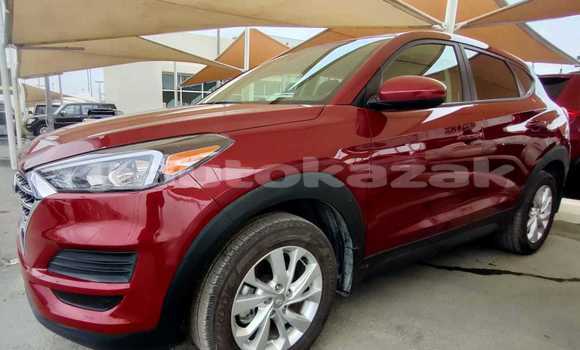 Buy Import Hyundai Tucson Red Car in Import - Dubai in Akmecet