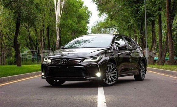 Buy Used Toyota Corolla Black Car in Almaty in Almati Buy Used Toyota Corolla Black Car in Almaty in Almati