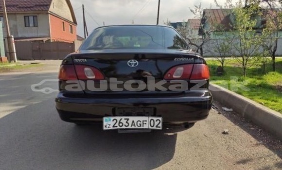 Buy Used Toyota Corolla Black Car in Almaty in Almati Buy Used Toyota Corolla Black Car in Almaty in Almati
