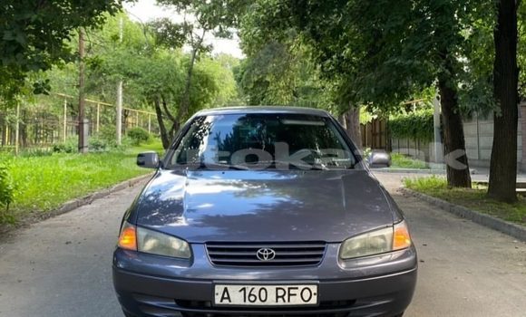 Buy Used Toyota Camry Other Car in Almaty in Almati Buy Used Toyota Camry Other Car in Almaty in Almati