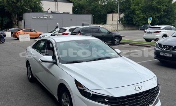 Buy Used Hyundai Elantra White Car in Almaty in Almati Buy Used Hyundai Elantra White Car in Almaty in Almati