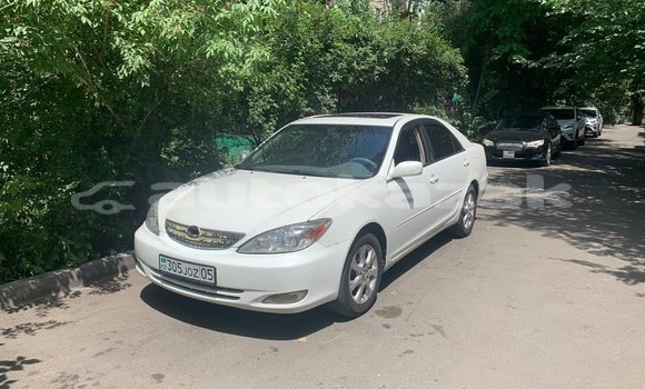 Buy Used Toyota Camry White Car in Almaty in Almati Buy Used Toyota Camry White Car in Almaty in Almati