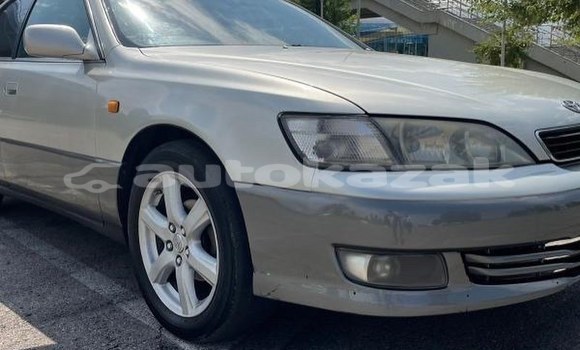 Buy Used Toyota Windom Silver Car in Almaty in Almati Buy Used Toyota Windom Silver Car in Almaty in Almati