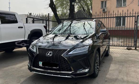 Buy Used Lexus RX 300 Black Car in Almaty in Almati Buy Used Lexus RX 300 Black Car in Almaty in Almati
