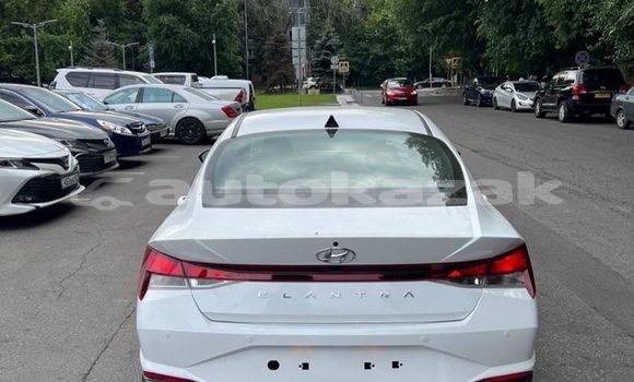 Buy Used Hyundai Elantra White Car in Almaty in Almati Buy Used Hyundai Elantra White Car in Almaty in Almati
