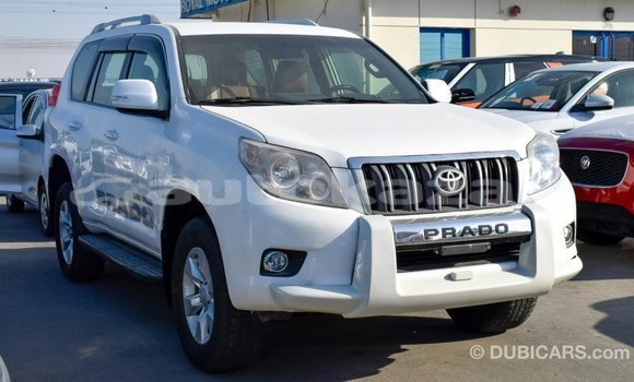 Buy Import Toyota Prado White Car in Import - Dubai in Akmecet Buy Import Toyota Prado White Car in Import - Dubai in Akmecet