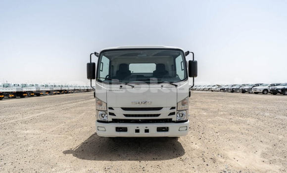 Buy New Isuzu NPR 85H White Truck in Import - Dubai in Akmecet