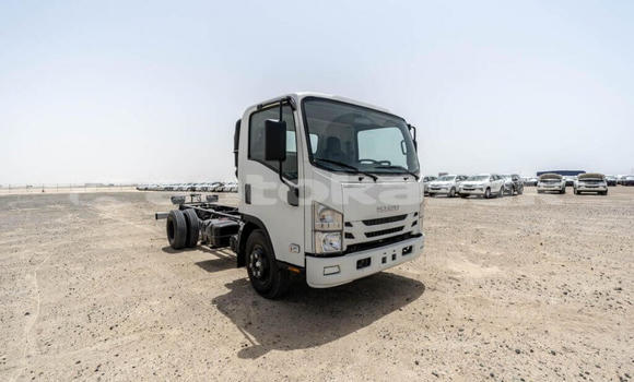 Buy New Isuzu NPR 85H White Truck in Import - Dubai in Akmecet Buy New Isuzu NPR 85H White Truck in Import - Dubai in Akmecet
