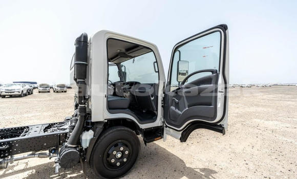 Buy New Isuzu NPR 85H White Truck in Import - Dubai in Akmecet Buy New Isuzu NPR 85H White Truck in Import - Dubai in Akmecet