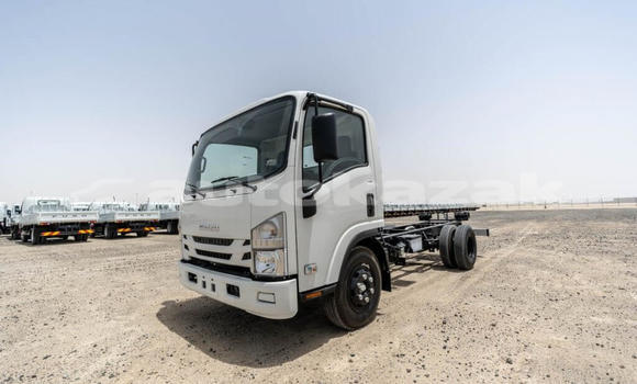Buy New Isuzu NPR 85H White Truck in Import - Dubai in Akmecet Buy New Isuzu NPR 85H White Truck in Import - Dubai in Akmecet