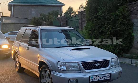 Buy Used Subaru Forester Silver Car in Almaty in Almati