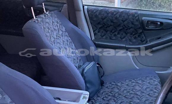 Buy Used Subaru Forester Silver Car in Almaty in Almati Buy Used Subaru Forester Silver Car in Almaty in Almati