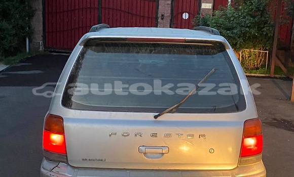 Buy Used Subaru Forester Silver Car in Almaty in Almati Buy Used Subaru Forester Silver Car in Almaty in Almati