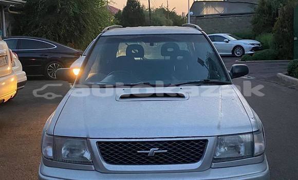 Buy Used Subaru Forester Silver Car in Almaty in Almati Buy Used Subaru Forester Silver Car in Almaty in Almati