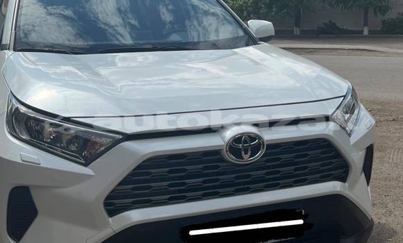 Buy Used Toyota RAV4 White Car in Astana in Akmola Buy Used Toyota RAV4 White Car in Astana in Akmola