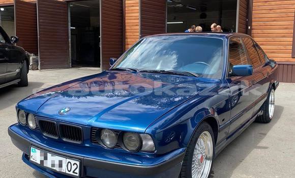 Buy Used BMW 5–Series Blue Car in Almaty in Almati Buy Used BMW 5–Series Blue Car in Almaty in Almati