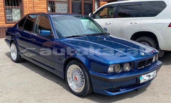 Buy Used BMW 5–Series Blue Car in Almaty in Almati Buy Used BMW 5–Series Blue Car in Almaty in Almati