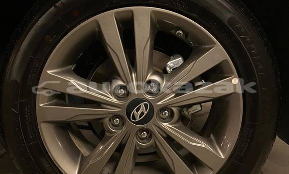 Buy Used Hyundai Elantra Other Car in Almaty in Almati Buy Used Hyundai Elantra Other Car in Almaty in Almati