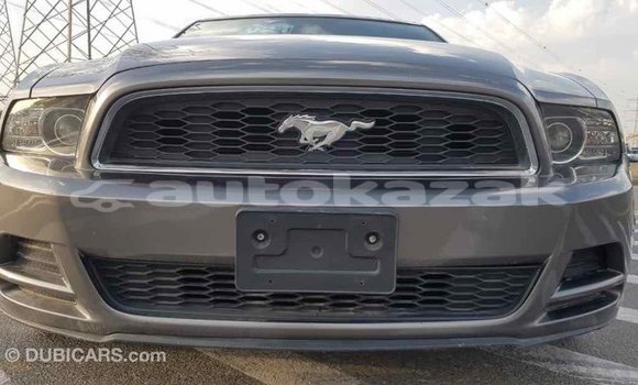 Buy Import Ford Mustang Other Car in Import - Dubai in Akmecet Buy Import Ford Mustang Other Car in Import - Dubai in Akmecet