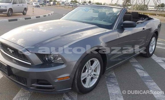Buy Import Ford Mustang Other Car in Import - Dubai in Akmecet Buy Import Ford Mustang Other Car in Import - Dubai in Akmecet