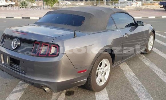 Buy Import Ford Mustang Other Car in Import - Dubai in Akmecet Buy Import Ford Mustang Other Car in Import - Dubai in Akmecet