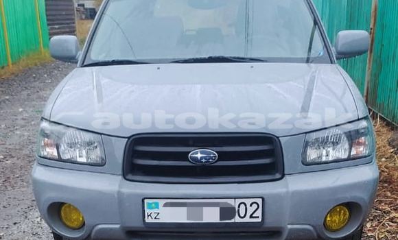 Buy Used Subaru Forester Other Car in Almaty in Almati