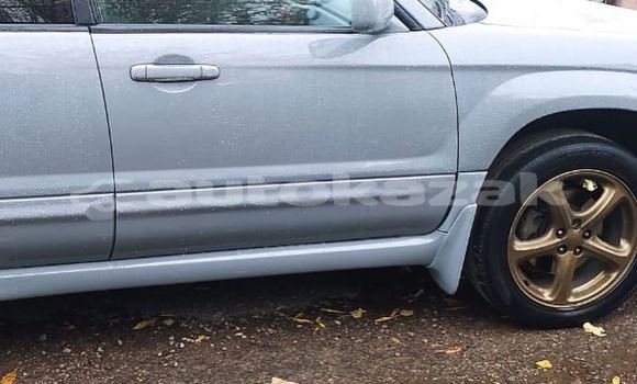 Buy Used Subaru Forester Other Car in Almaty in Almati Buy Used Subaru Forester Other Car in Almaty in Almati